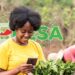Safaricom-M-PESA